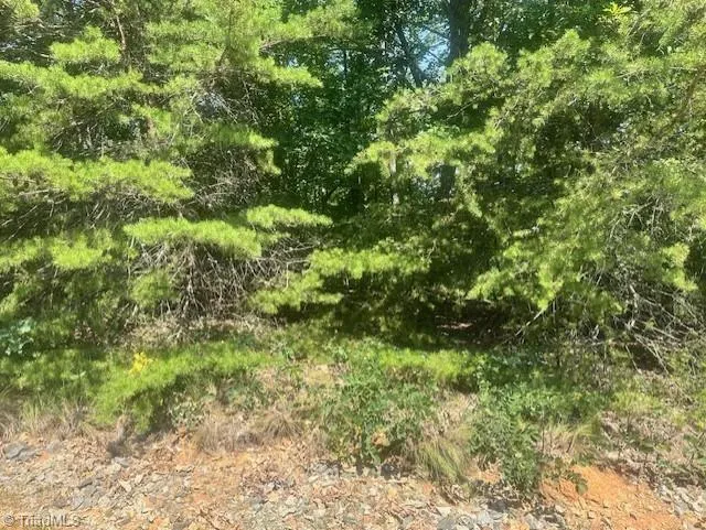 1953 Sierra Trace Road Denton, NC 27239