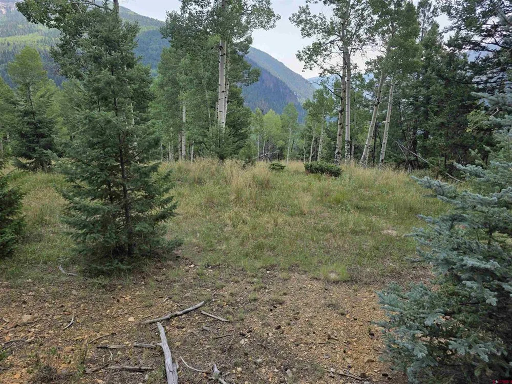 Blk 90 lots 4-6 Jasper, CO 81144