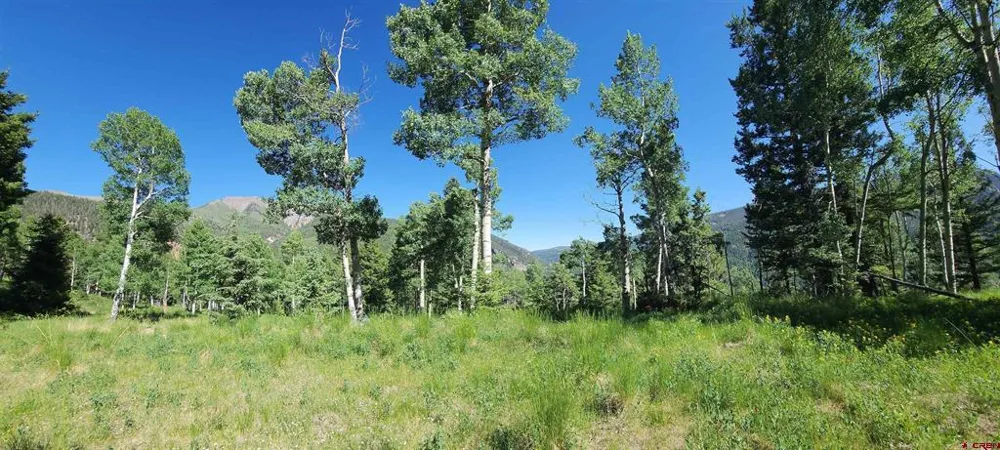 Blk 90 lots 4-6 Jasper, CO 81144