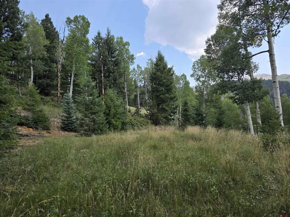 Blk 90 lots 4-6 Jasper, CO 81144