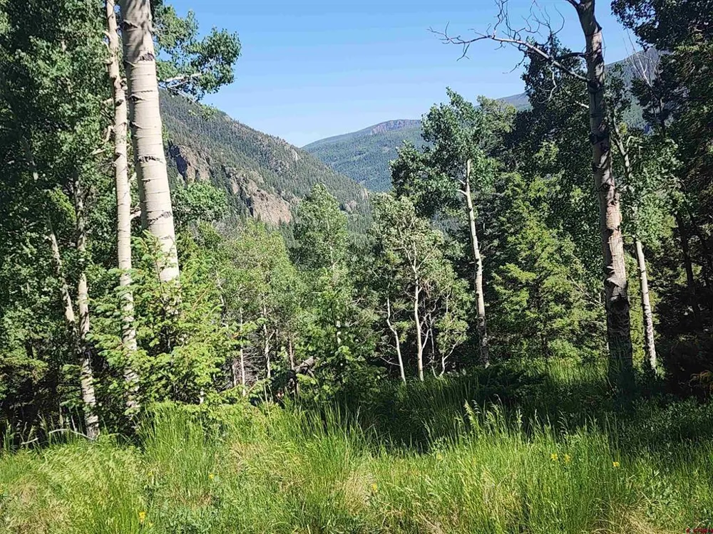 Blk 90 lots 4-6 Jasper, CO 81144