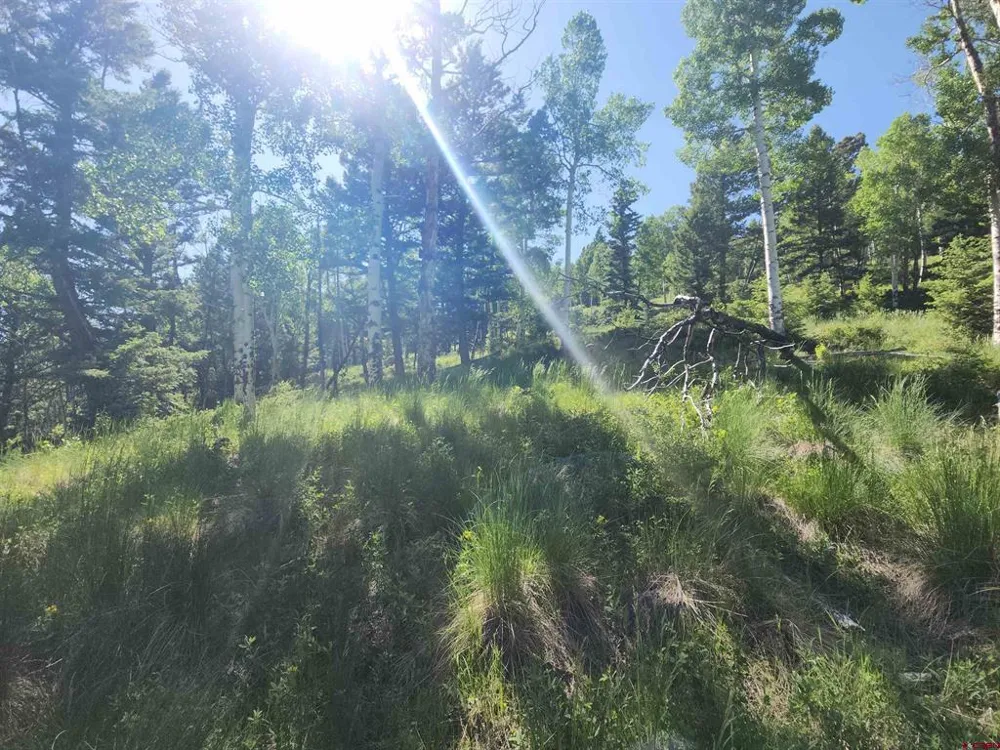 Blk 90 lots 4-6 Jasper, CO 81144