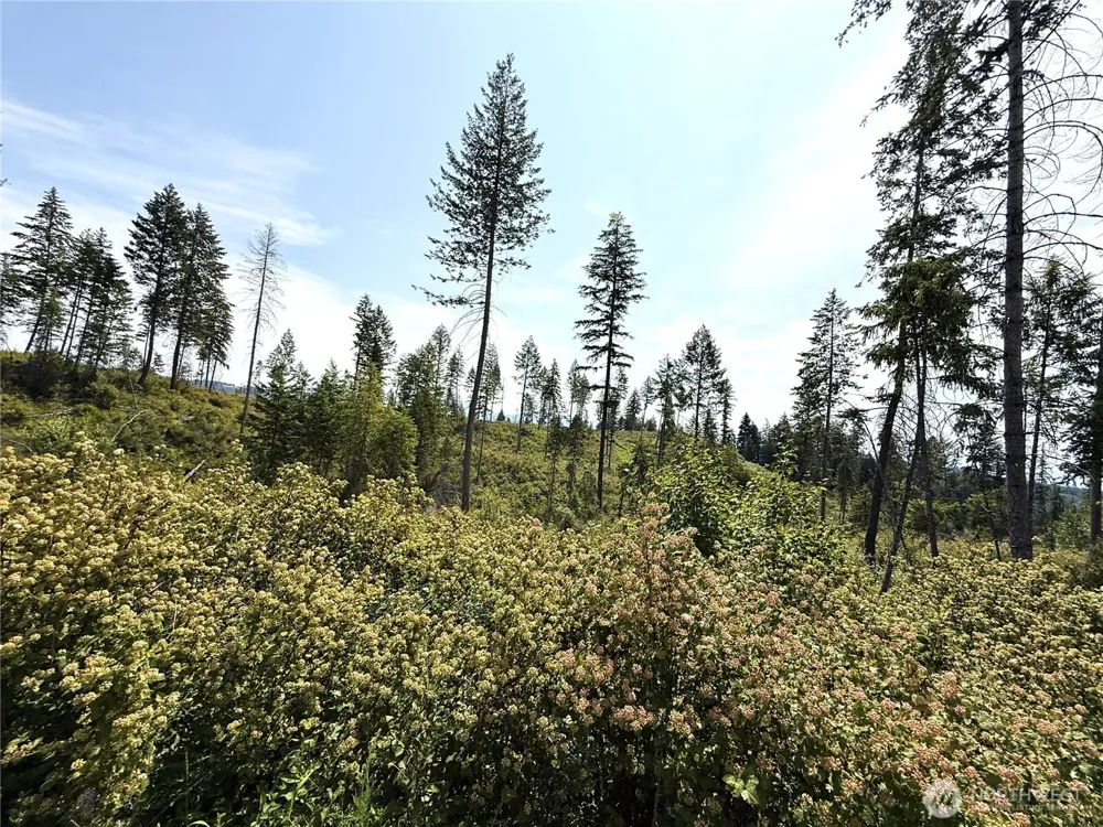 0 Lot 1 Rockabye Lane Curlew, WA 99118