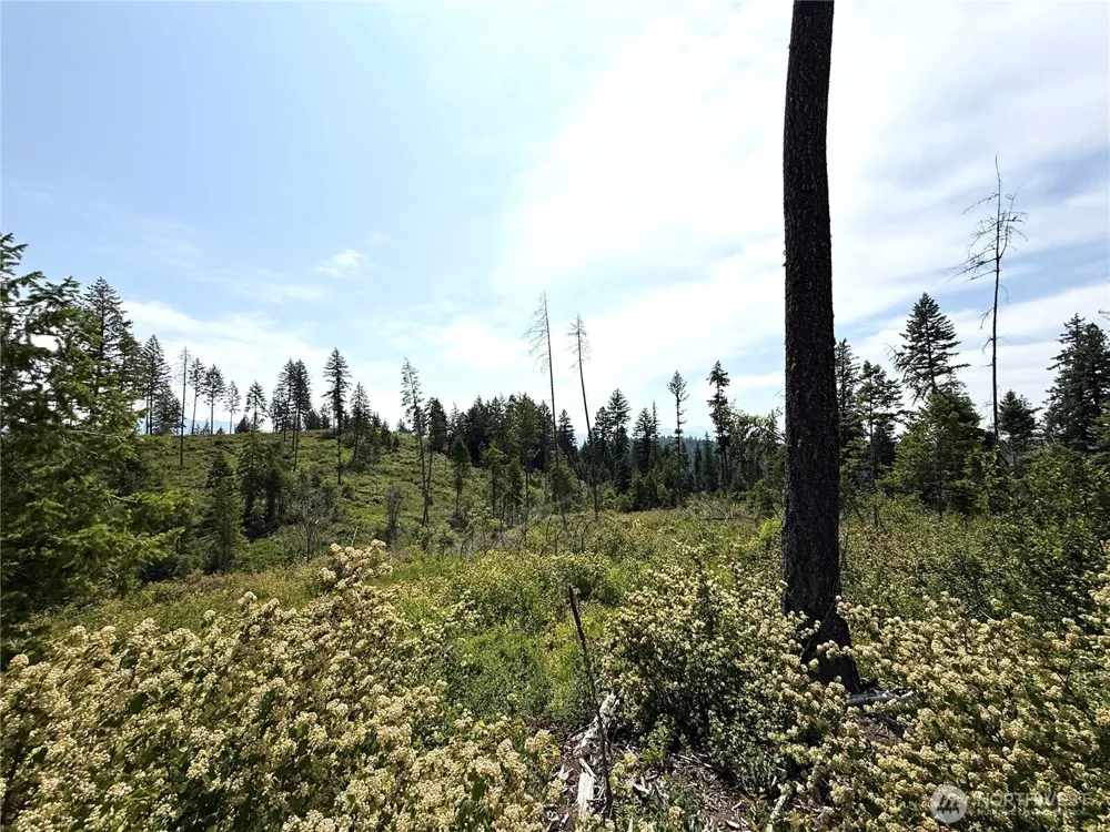 0 Lot 1 Rockabye Lane Curlew, WA 99118