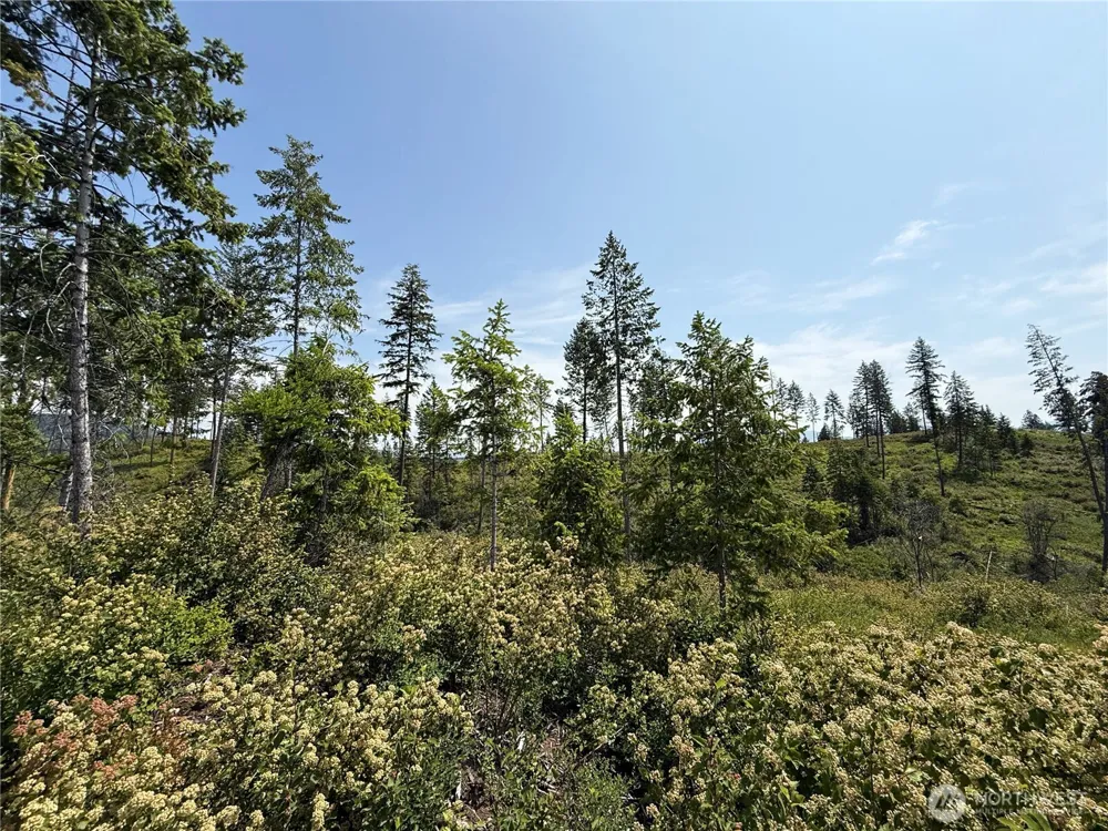 0 Lot 1 Rockabye Lane Curlew, WA 99118