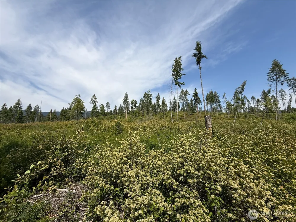 0 Lot 1 Rockabye Lane Curlew, WA 99118
