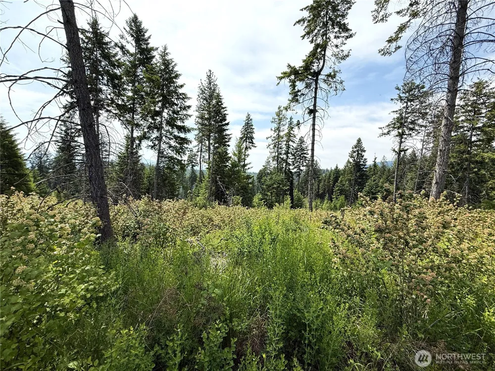 0 Lot 1 Rockabye Lane Curlew, WA 99118