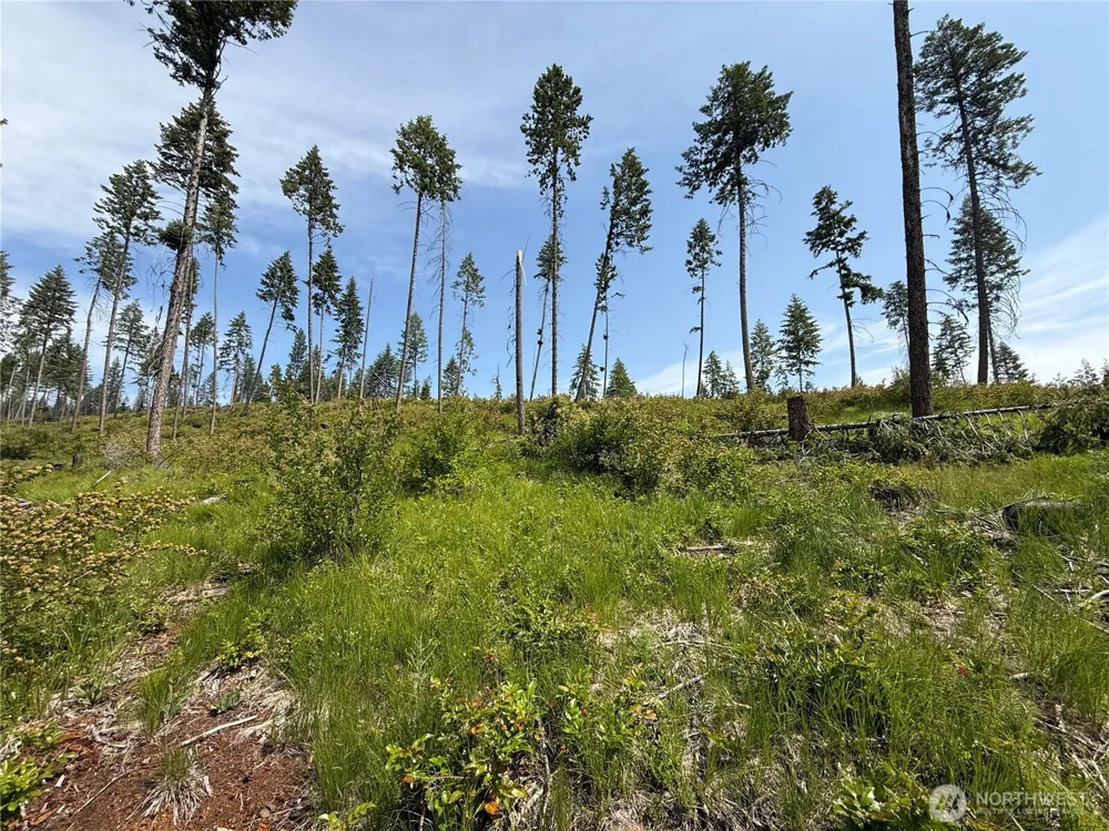 0 Lot 2 Rockabye Lane Curlew, WA 99118