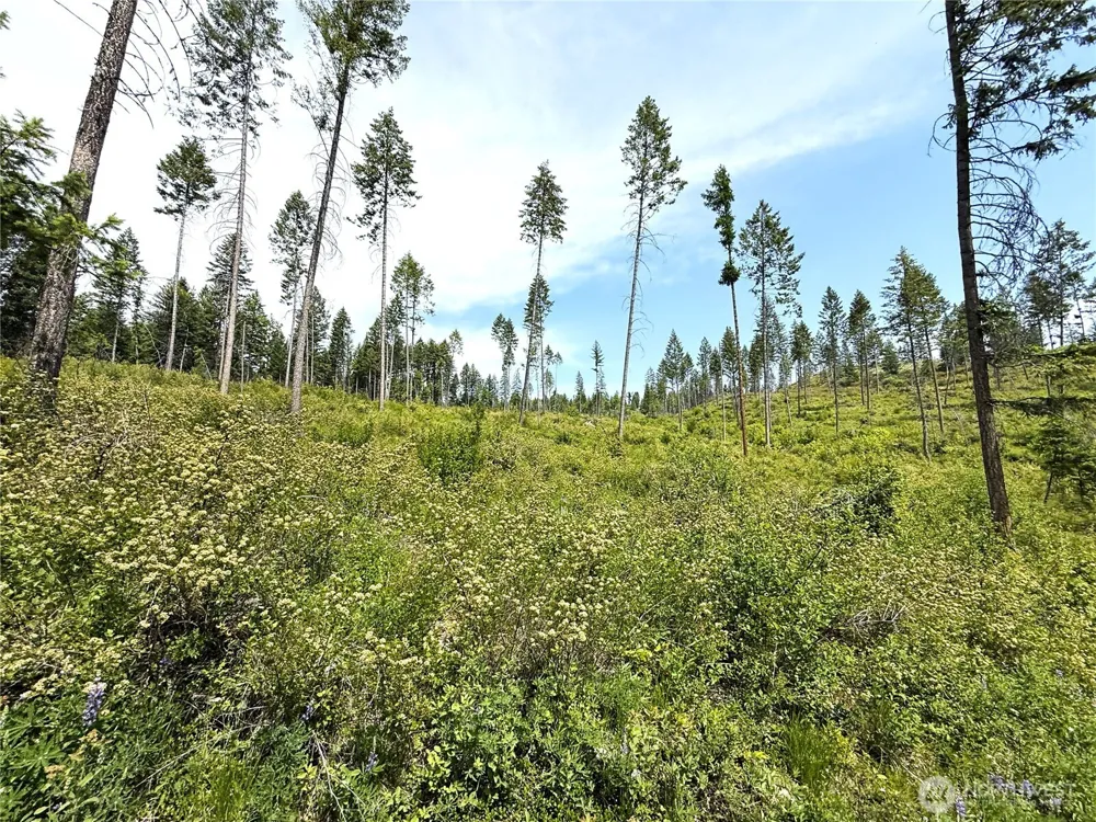 0 Lot 2 Rockabye Lane Curlew, WA 99118