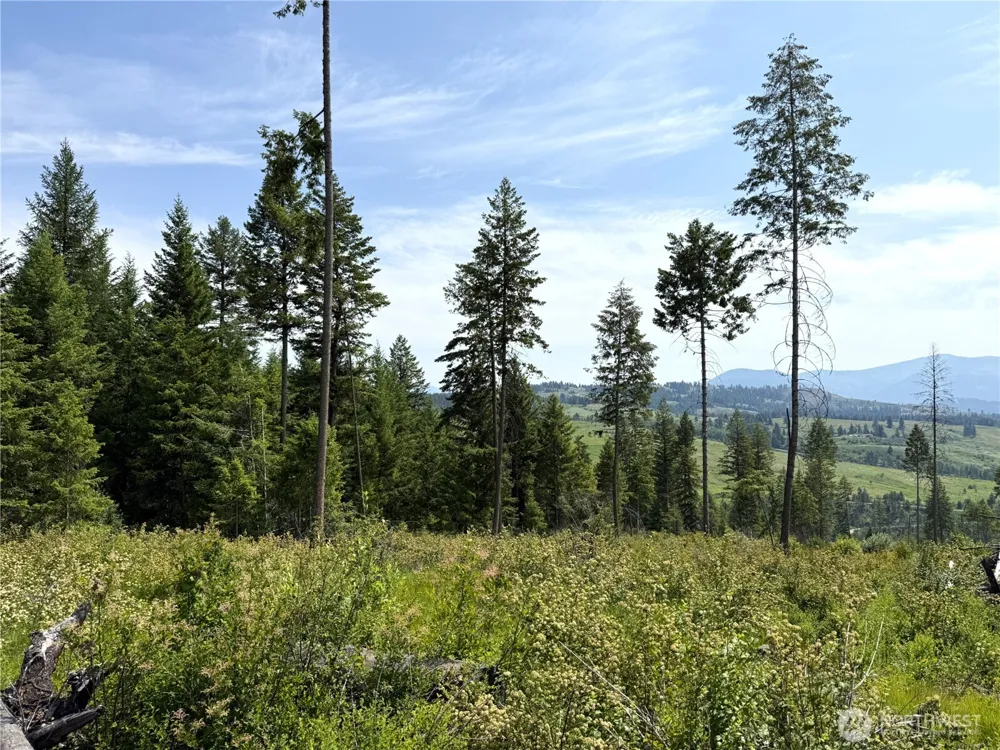 0 Lot 3 Rockabye Lane Curlew, WA 99118