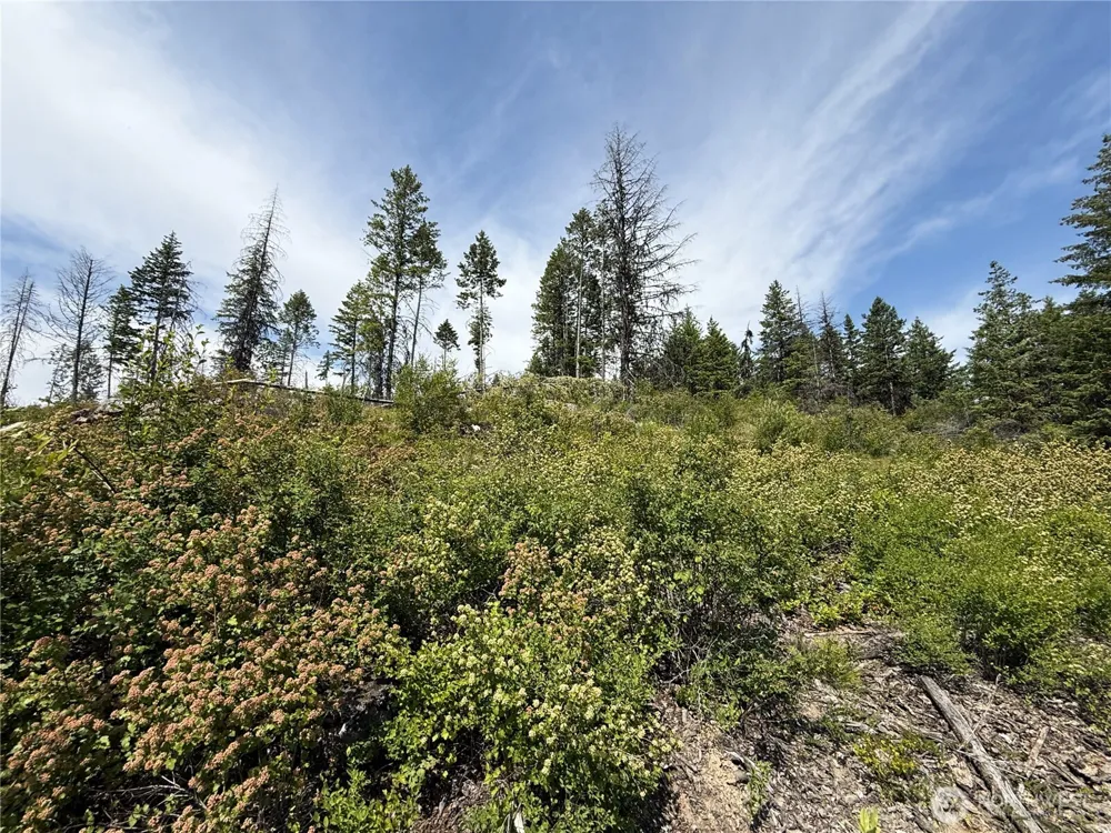 0 Lot 3 Rockabye Lane Curlew, WA 99118