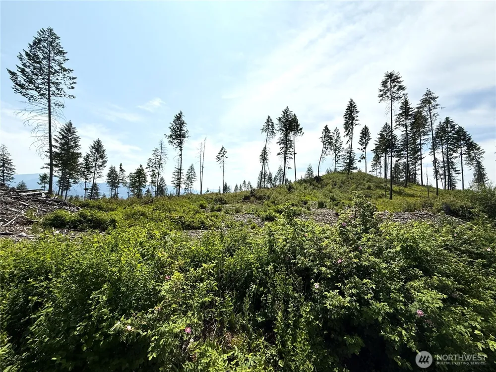 0 Lot 3 Rockabye Lane Curlew, WA 99118