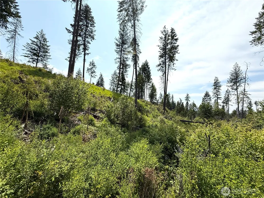0 Lot 3 Rockabye Lane Curlew, WA 99118