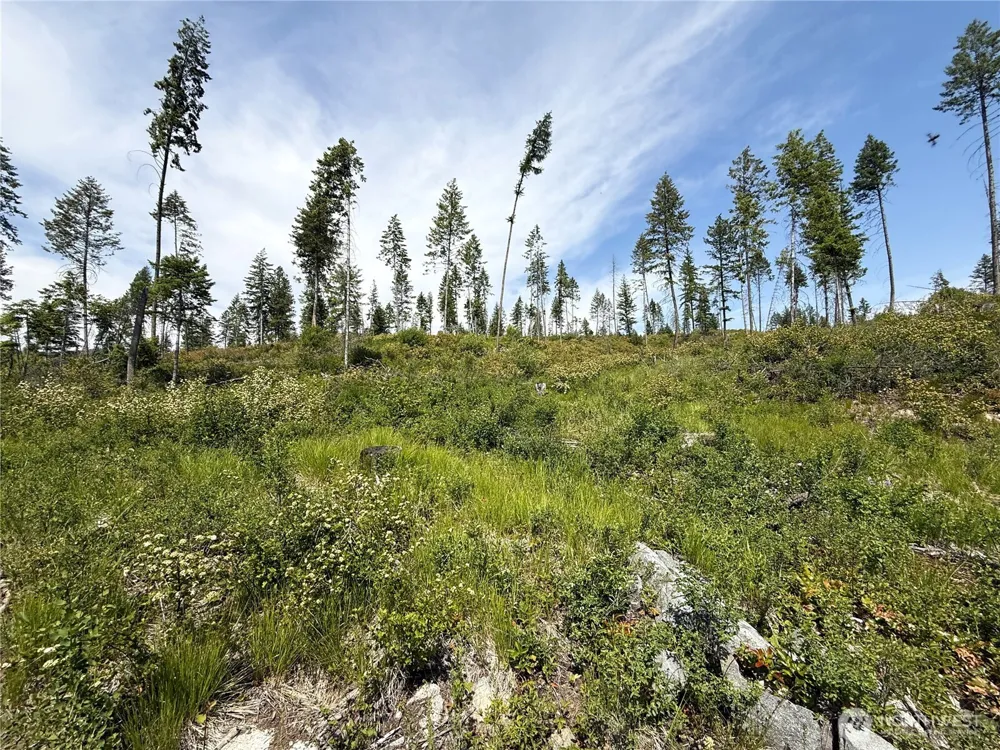 0 Lot 3 Rockabye Lane Curlew, WA 99118