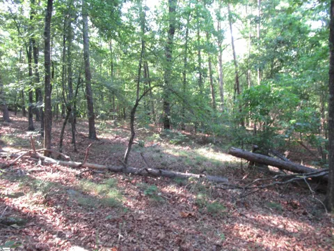 00 Murphy Road