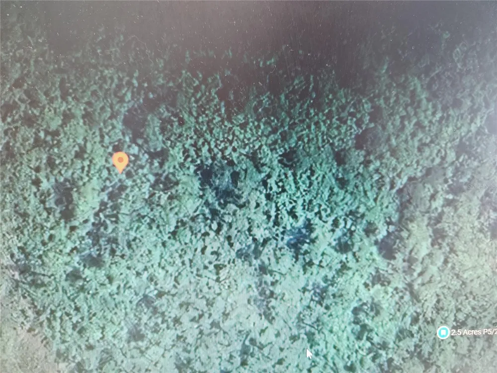 HOLOPAW GROVES ROAD St Cloud, FL 34771