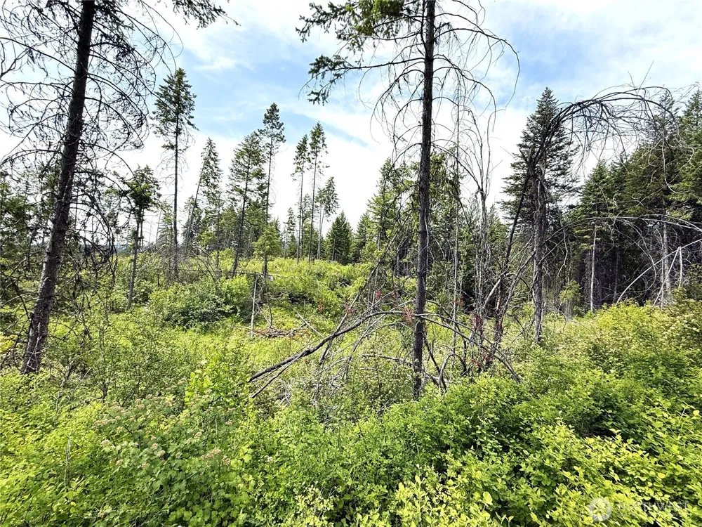 0 Lot 4 Rockabye Lane Curlew, WA 99118