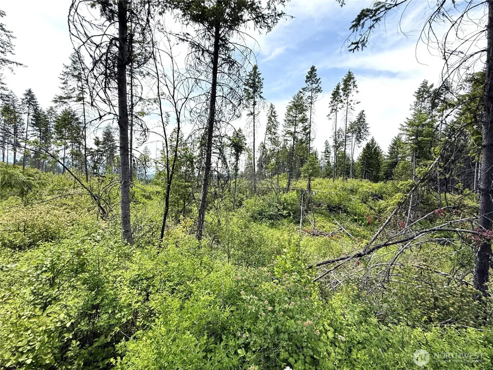 0 Lot 4 Rockabye Lane Curlew, WA 99118