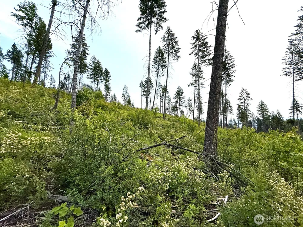 0 Lot 4 Rockabye Lane Curlew, WA 99118
