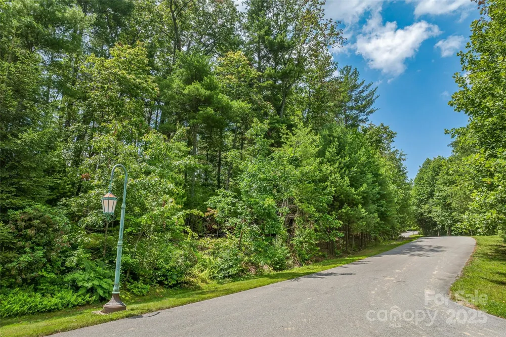 99999 Cedar Hill Drive #28 Biltmore Forest, NC 28803