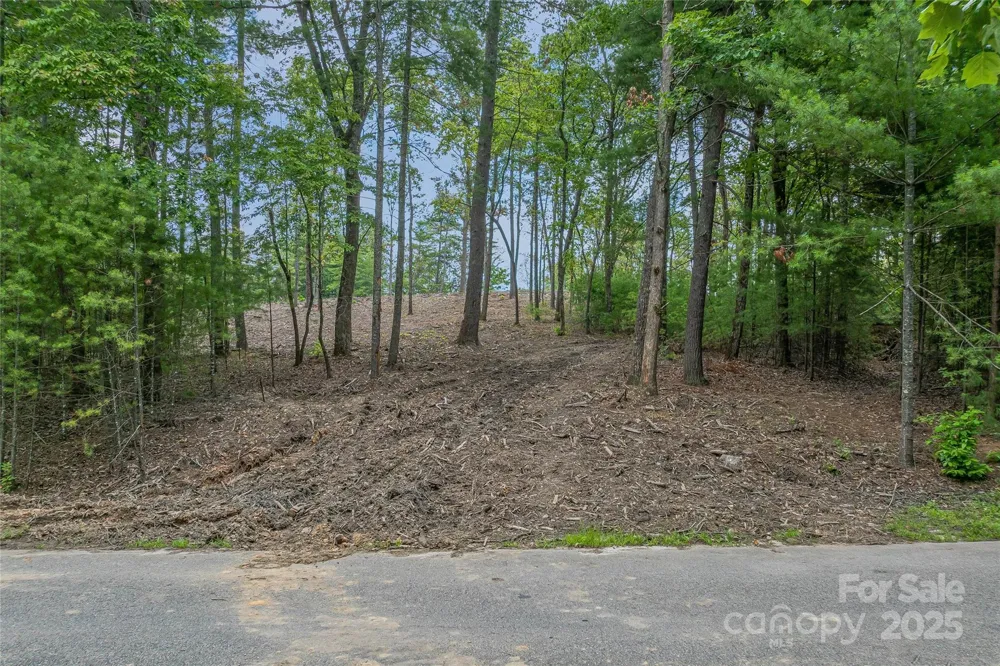 99999 Cedar Hill Drive #28 Biltmore Forest, NC 28803