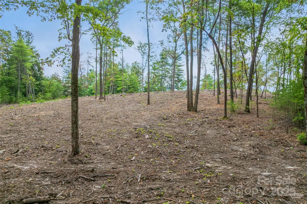 99999 Cedar Hill Drive #28 Biltmore Forest, NC 28803