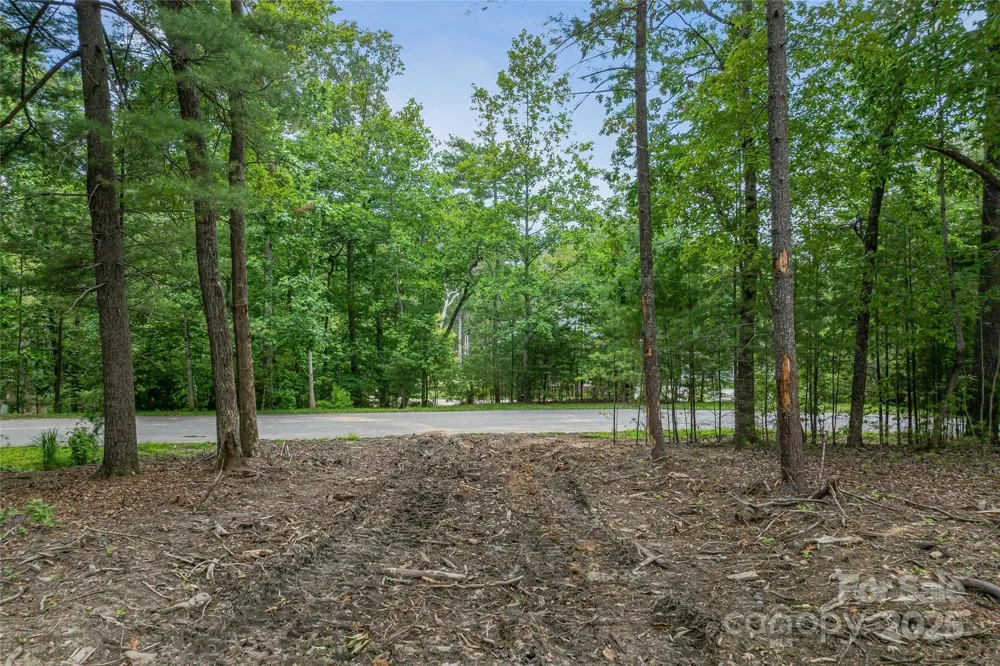 99999 Cedar Hill Drive #28 Biltmore Forest, NC 28803