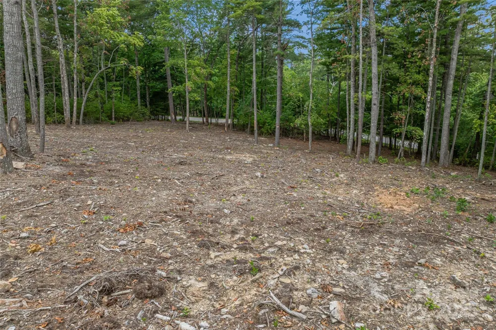 99999 Cedar Hill Drive #28 Biltmore Forest, NC 28803