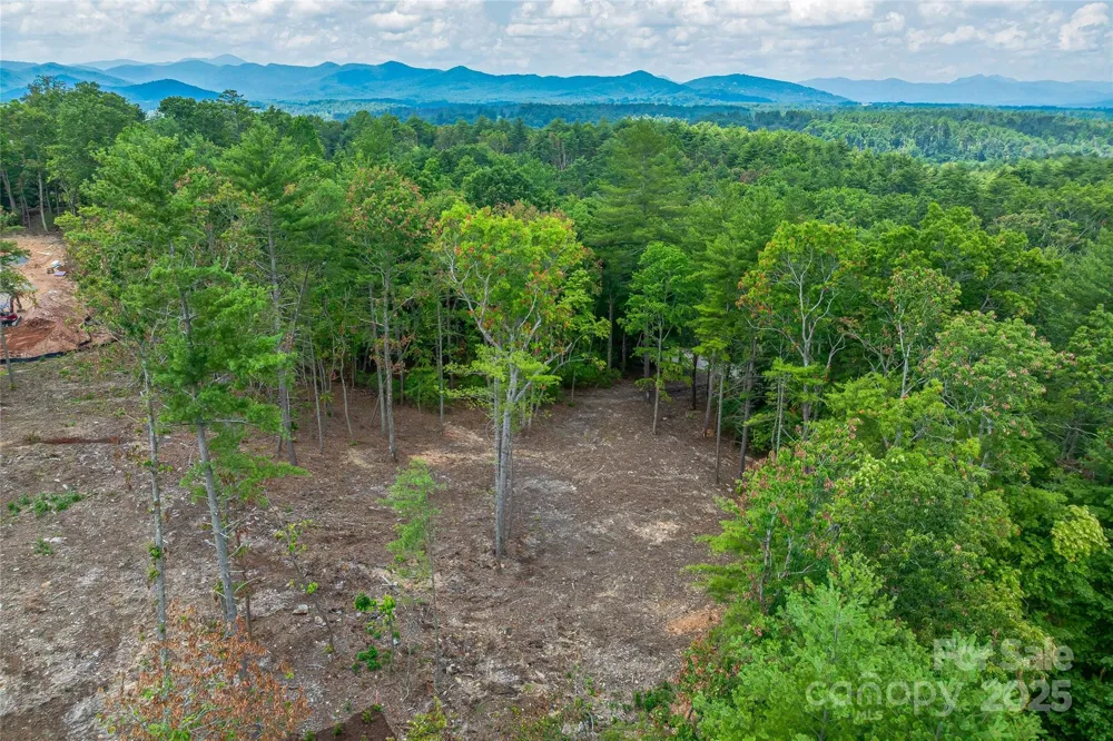 99999 Cedar Hill Drive #28 Biltmore Forest, NC 28803