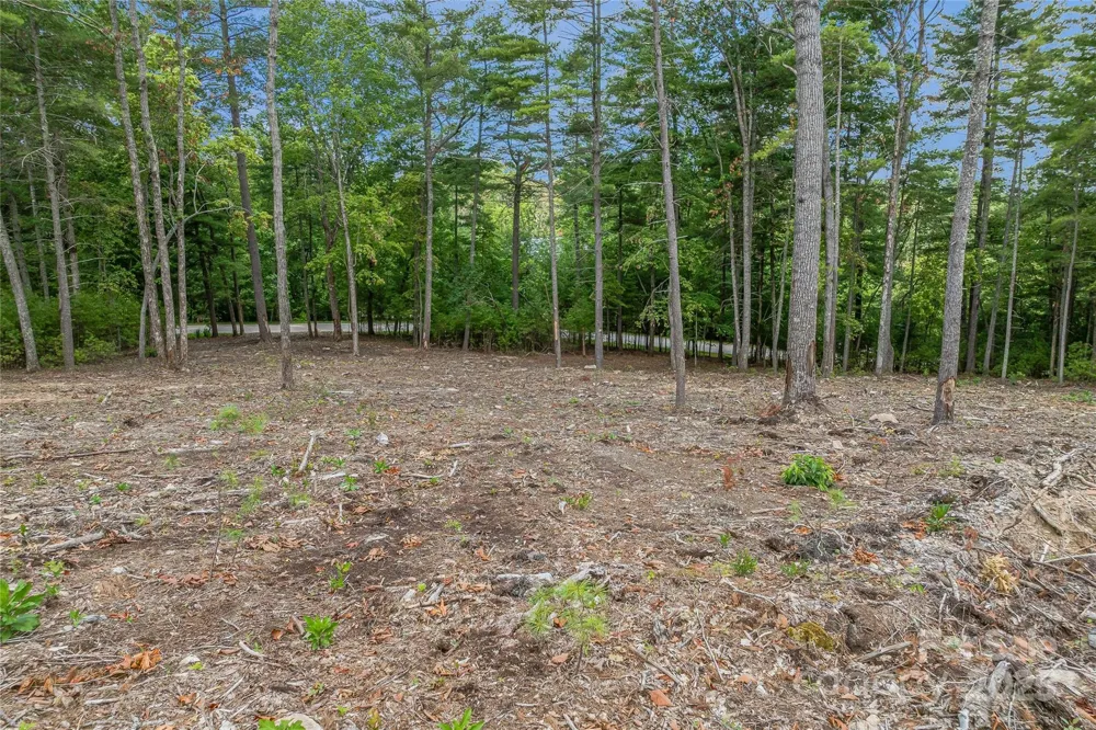 99999 Cedar Hill Drive #28 Biltmore Forest, NC 28803