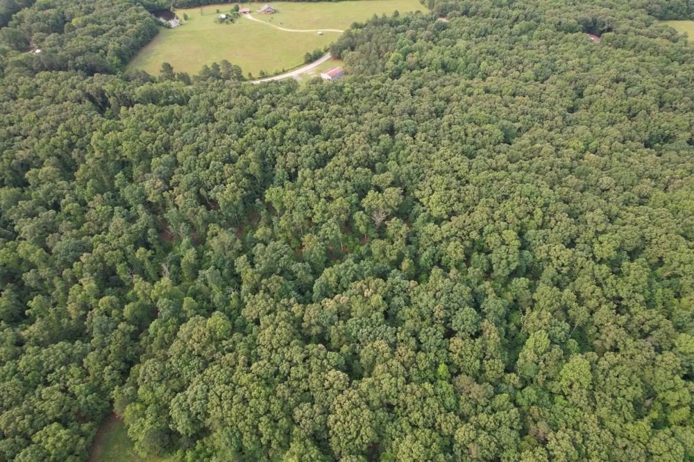 0 Webb Rd Ext Summertown, TN 38483