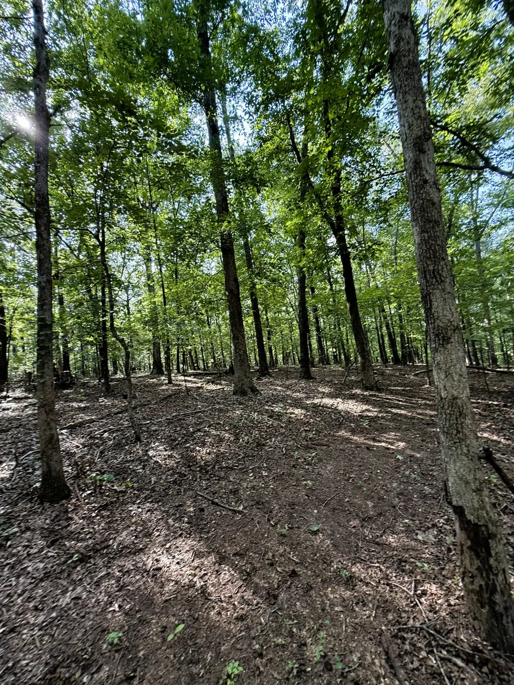 0 Webb Rd Ext Summertown, TN 38483