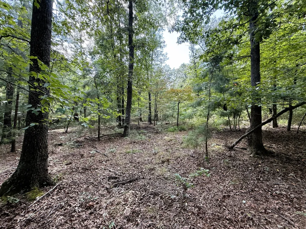 0 Webb Rd Ext Summertown, TN 38483