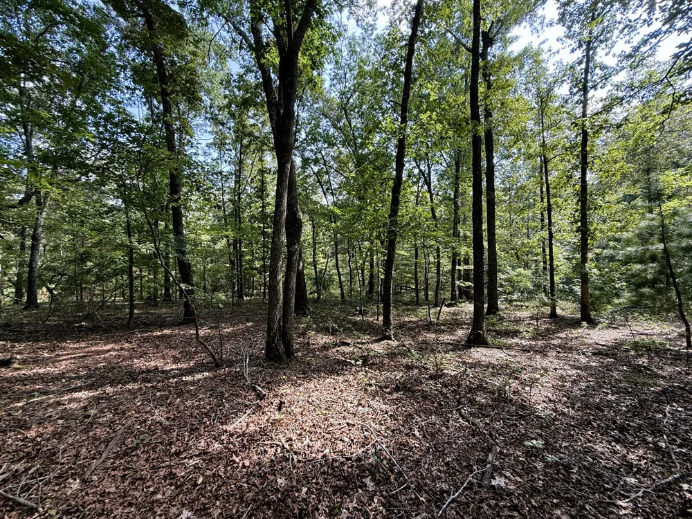 0 Webb Rd Ext Summertown, TN 38483