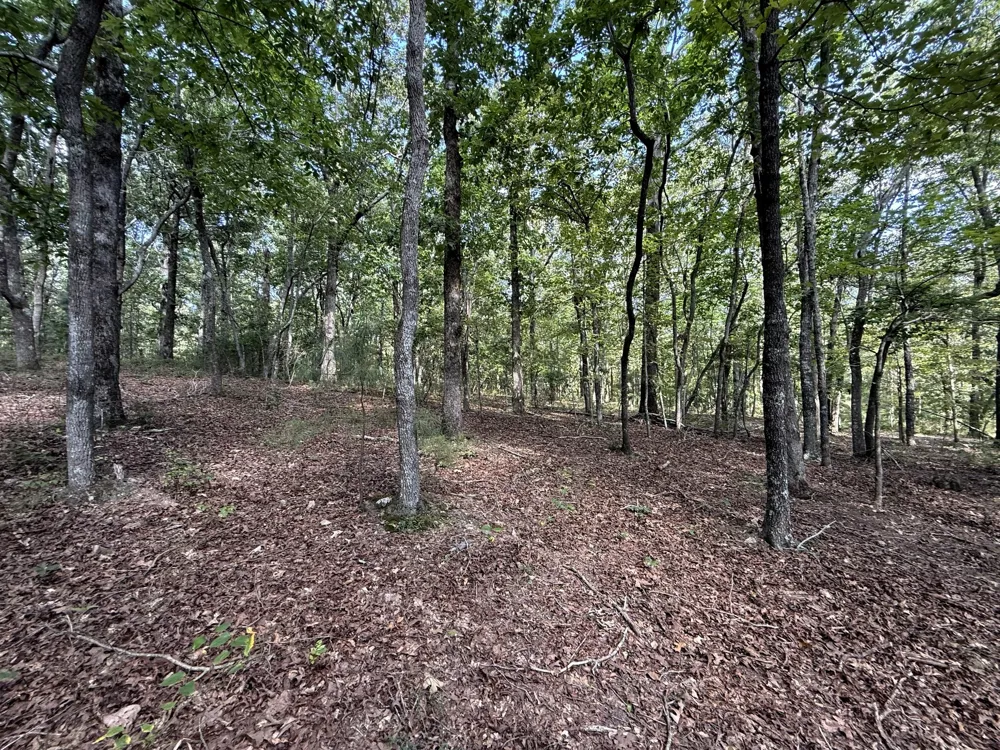 0 Webb Rd Ext Summertown, TN 38483