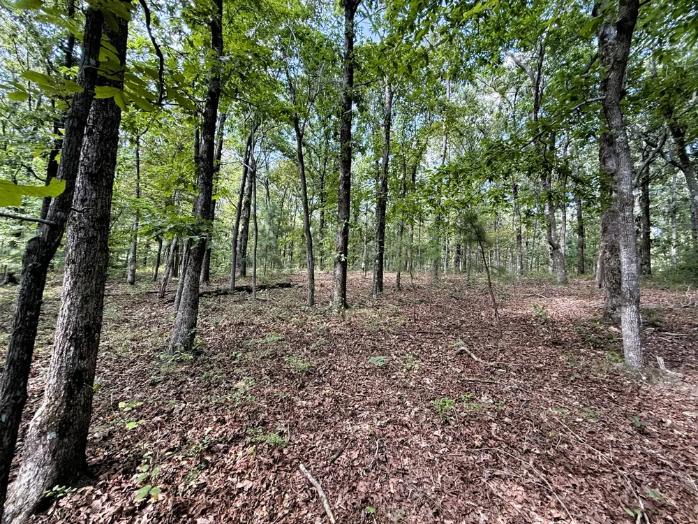 0 Webb Rd Ext Summertown, TN 38483