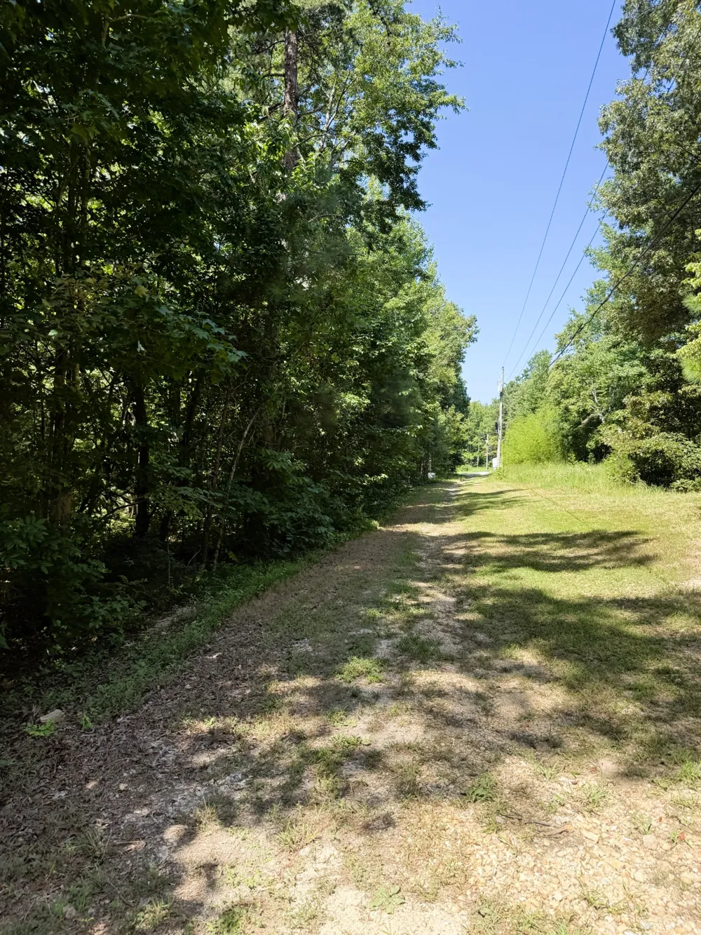 0 Webb Rd Ext Summertown, TN 38483
