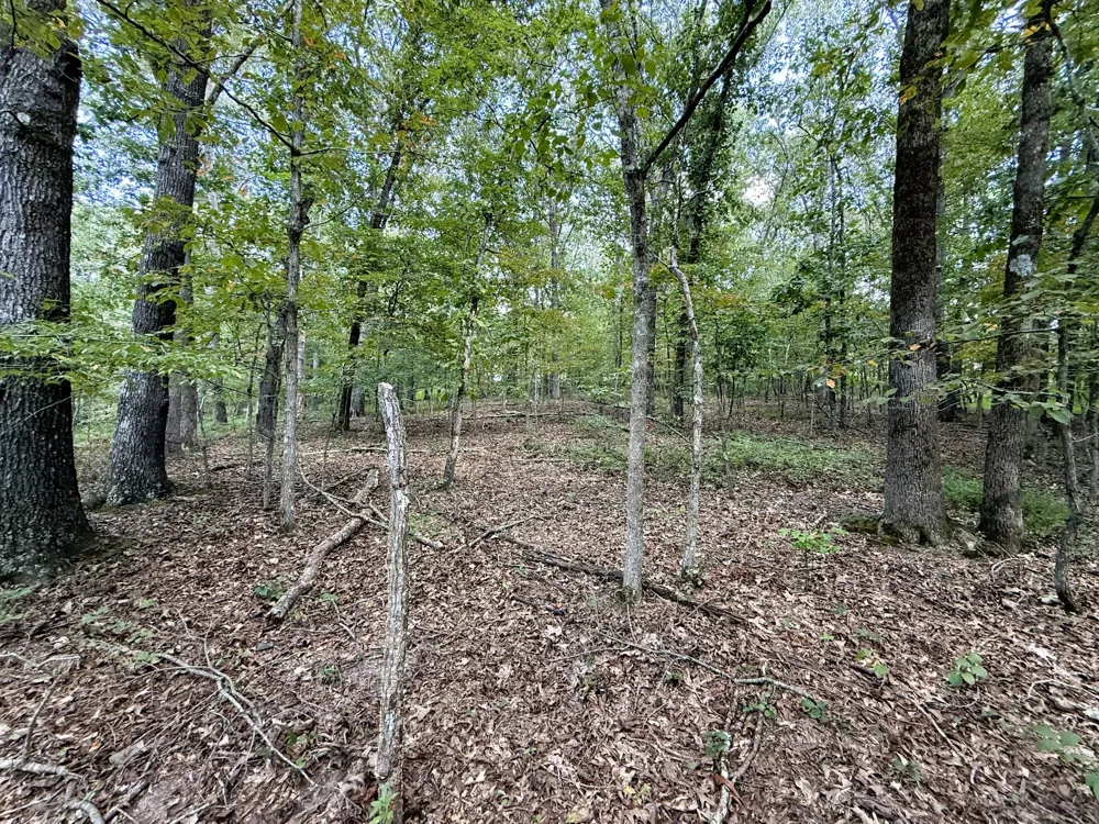 0 Webb Rd Ext Summertown, TN 38483