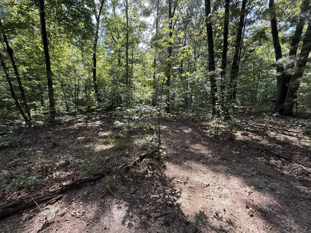 0 Webb Rd Ext Summertown, TN 38483