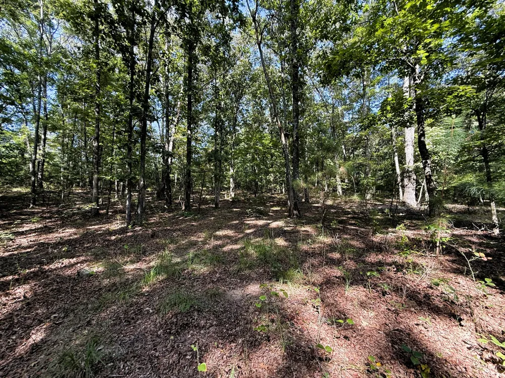 0 Webb Rd Ext Summertown, TN 38483