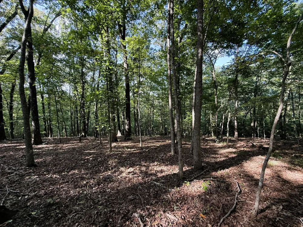 0 Webb Rd Ext Summertown, TN 38483