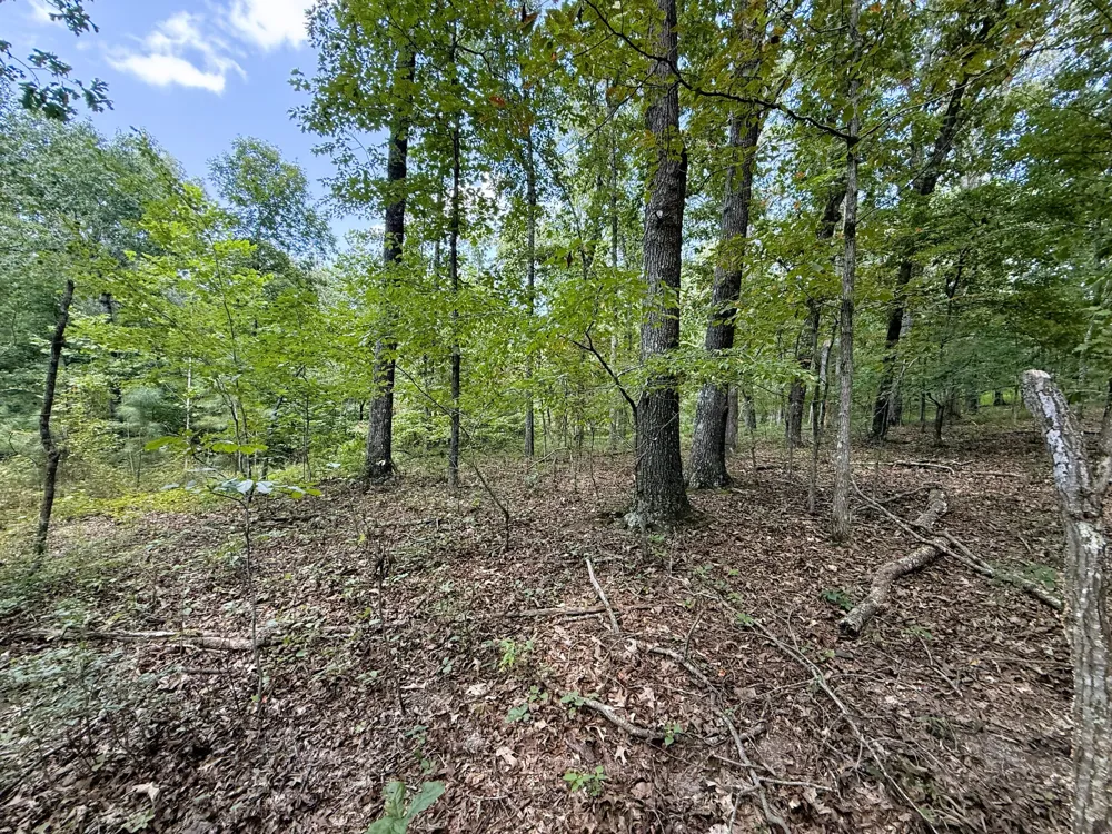 0 Webb Rd Ext Summertown, TN 38483