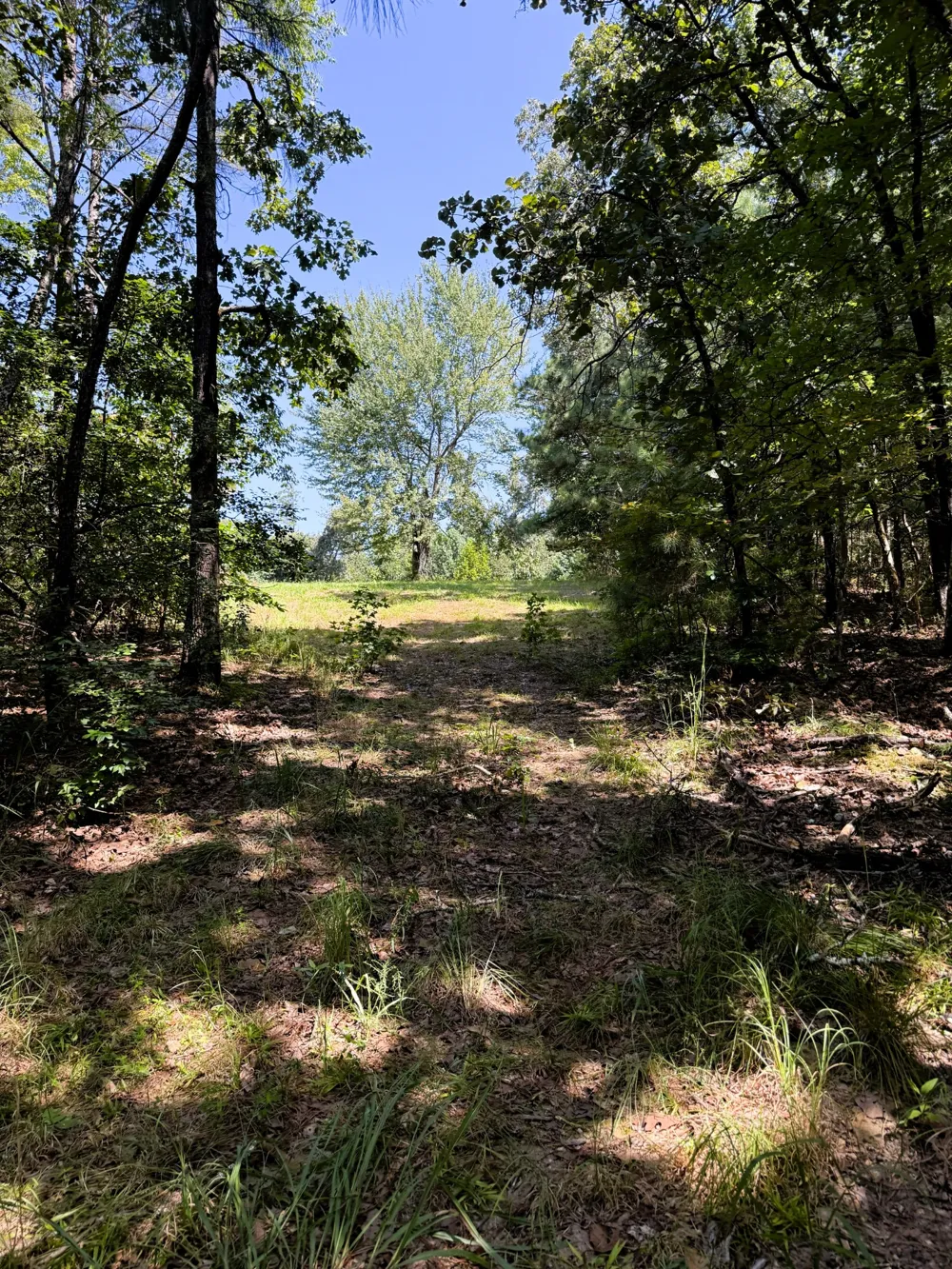 0 Webb Rd Ext Summertown, TN 38483