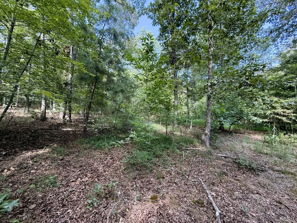 0 Webb Rd Ext Summertown, TN 38483