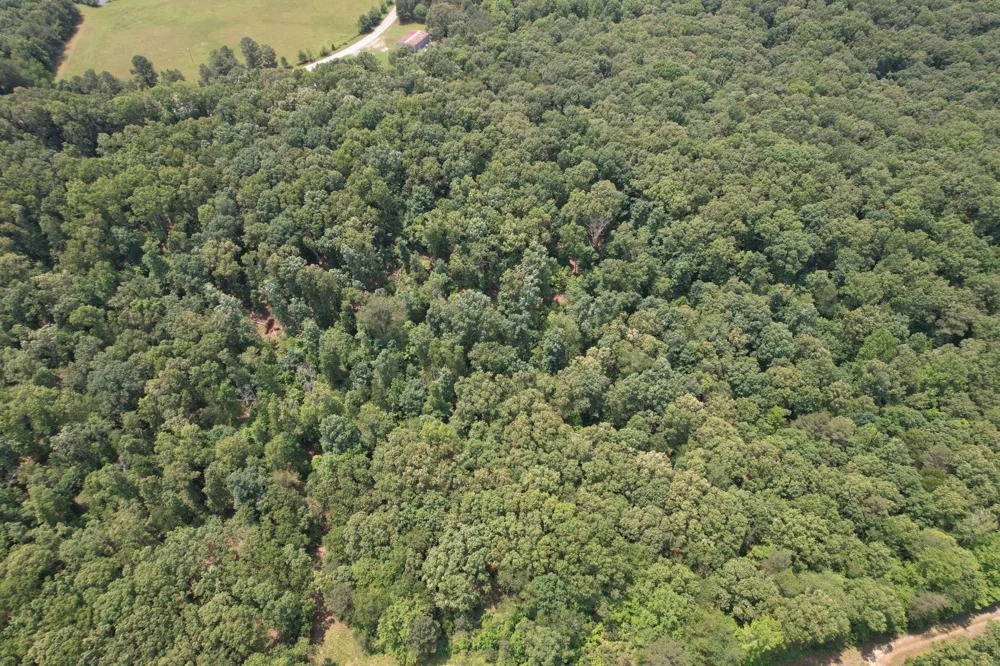 0 Webb Rd Ext Summertown, TN 38483