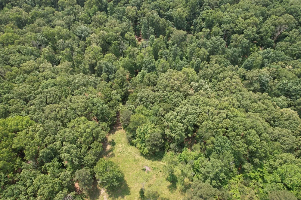 0 Webb Rd Ext Summertown, TN 38483