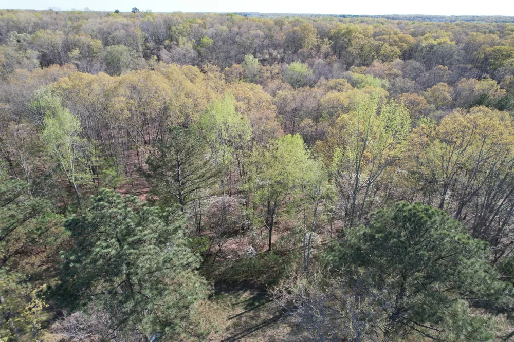 0 Webb Rd Ext Summertown, TN 38483