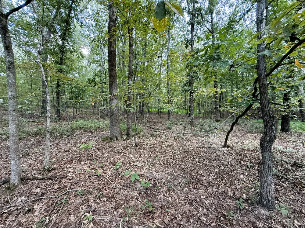 0 Webb Rd Ext Summertown, TN 38483
