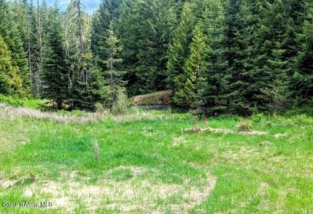 NKa Gold Ridge Road St. Maries, ID 83861