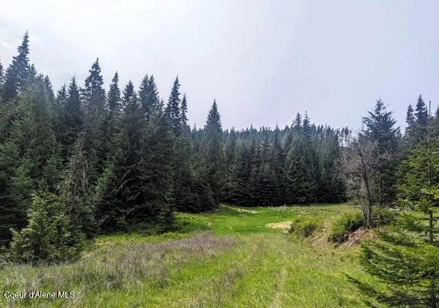 NKa Gold Ridge Road St. Maries, ID 83861